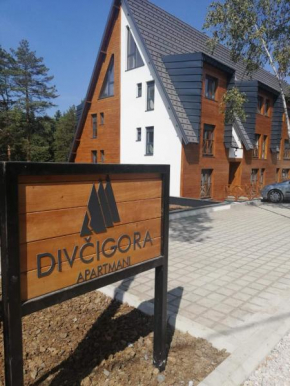 Apartman Divcigora Sokic